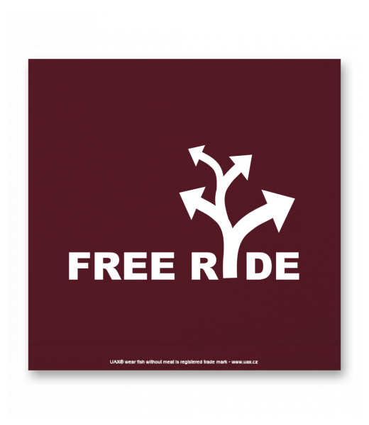 OBRAZ DO INTERIÉRU 110x110cm