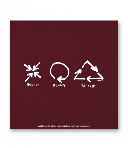 OBRAZ DO INTERIÉRU 110x110cm