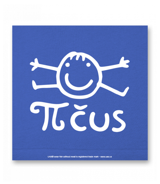 OBRAZ DO INTERIÉRU 110x110cm