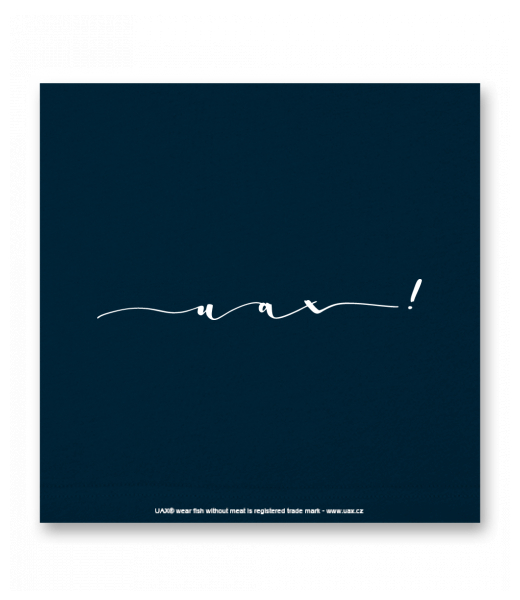 OBRAZ DO INTERIÉRU 110x110cm