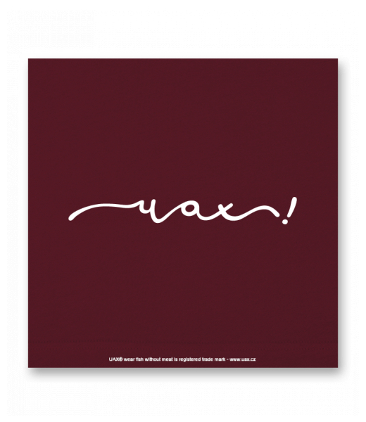 OBRAZ DO INTERIÉRU 110x110cm