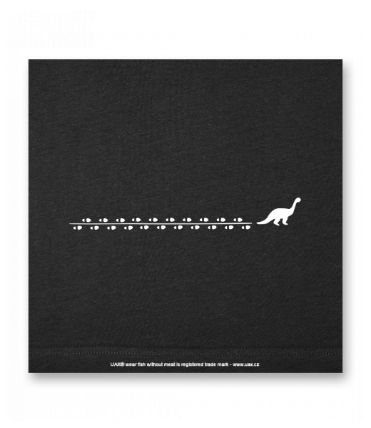 OBRAZ DO INTERIÉRU 110x110cm