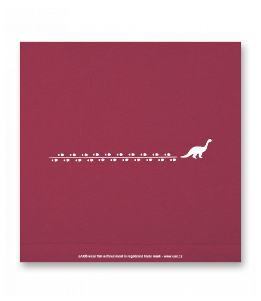 OBRAZ DO INTERIÉRU 110x110cm