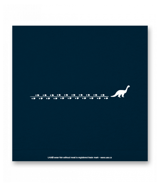 OBRAZ DO INTERIÉRU 110x110cm