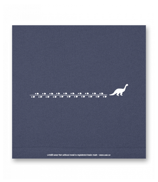 OBRAZ DO INTERIÉRU 110x110cm