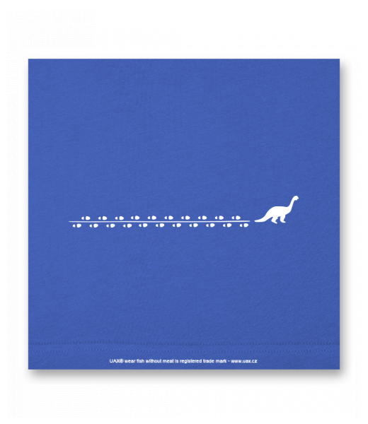 OBRAZ DO INTERIÉRU 110x110cm