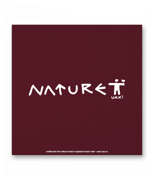 OBRAZ DO INTERIÉRU 110x110cm