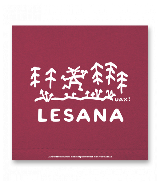 OBRAZ DO INTERIÉRU 110x110cm