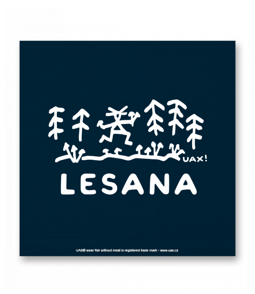 OBRAZ DO INTERIÉRU 110x110cm