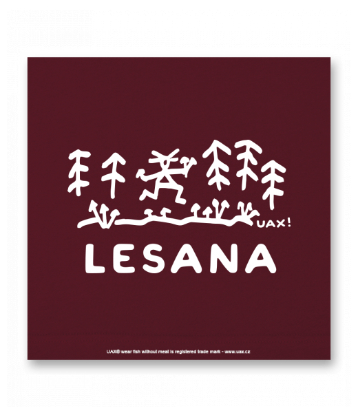 OBRAZ DO INTERIÉRU 110x110cm