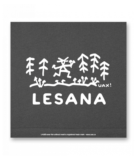 OBRAZ DO INTERIÉRU 110x110cm