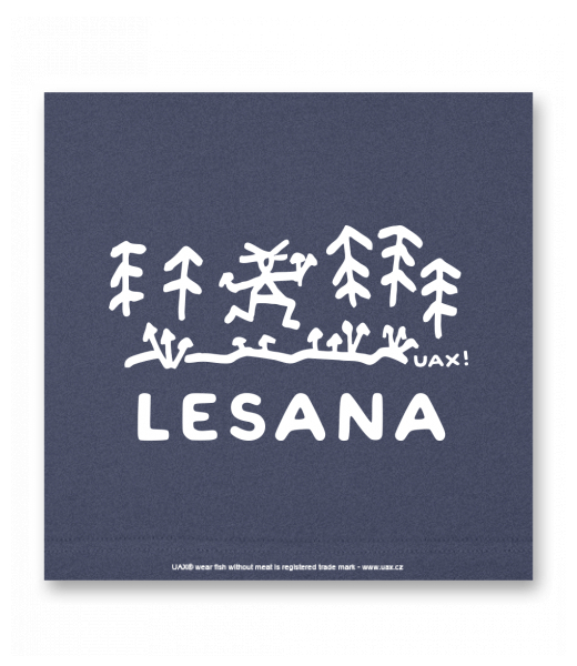 OBRAZ DO INTERIÉRU 110x110cm