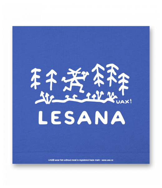 OBRAZ DO INTERIÉRU 110x110cm