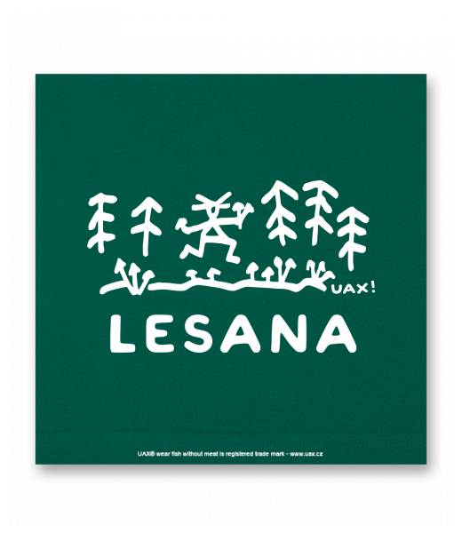 OBRAZ DO INTERIÉRU 110x110cm