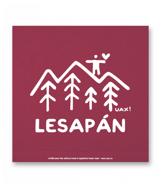 OBRAZ DO INTERIÉRU 110x110cm