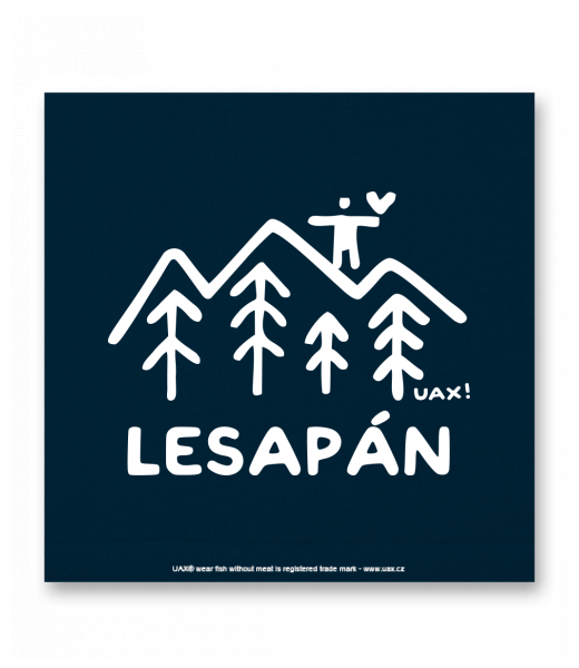 OBRAZ DO INTERIÉRU 110x110cm