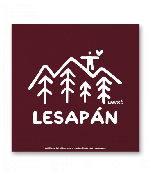 OBRAZ DO INTERIÉRU 110x110cm