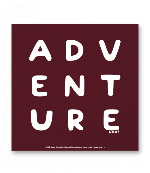 OBRAZ DO INTERIÉRU 110x110cm