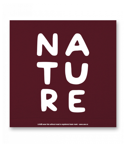 OBRAZ DO INTERIÉRU 110x110cm