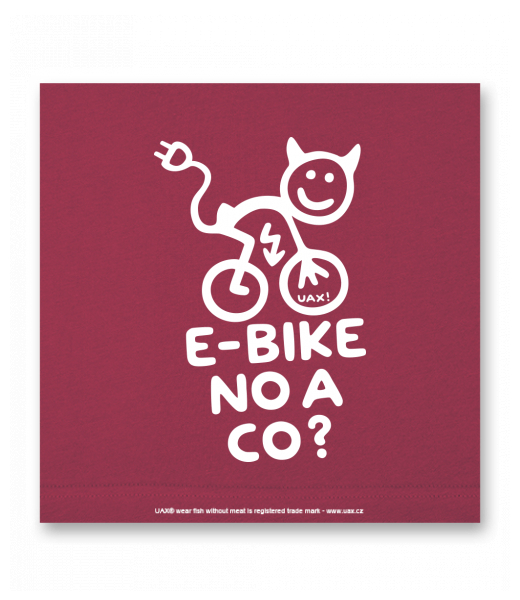 OBRAZ DO INTERIÉRU 110x110cm