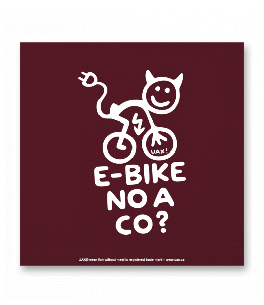 OBRAZ DO INTERIÉRU 110x110cm