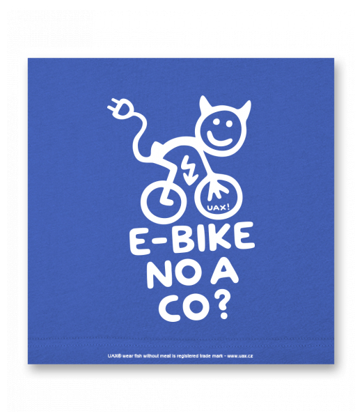 OBRAZ DO INTERIÉRU 110x110cm