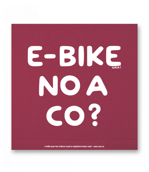 OBRAZ DO INTERIÉRU 110x110cm