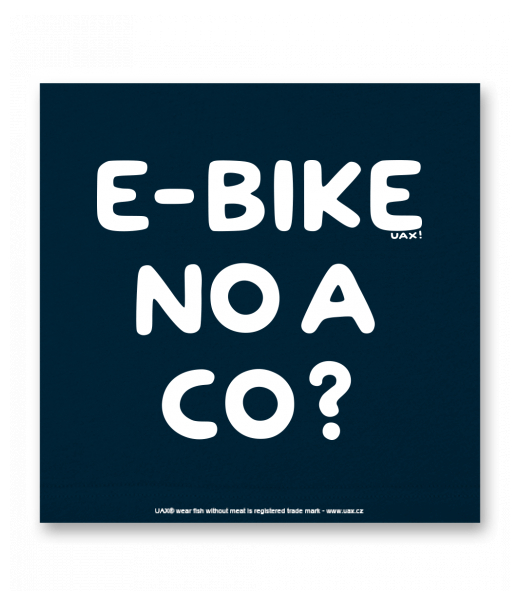 OBRAZ DO INTERIÉRU 110x110cm