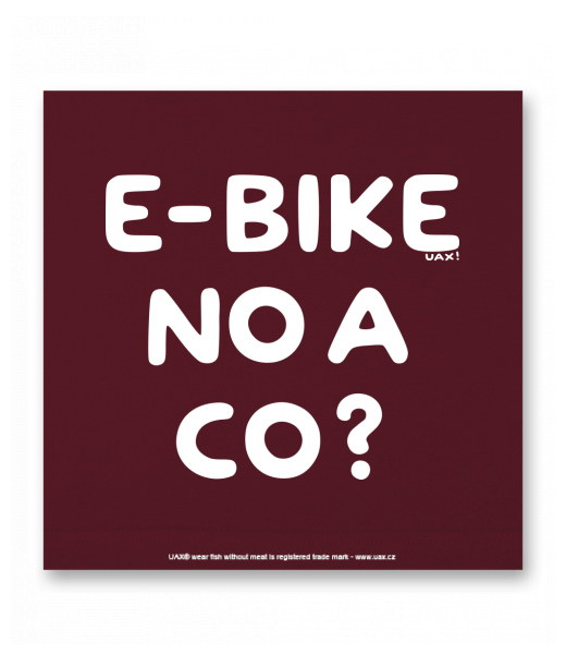 OBRAZ DO INTERIÉRU 110x110cm