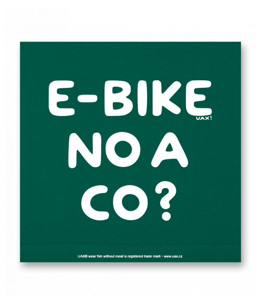 OBRAZ DO INTERIÉRU 110x110cm