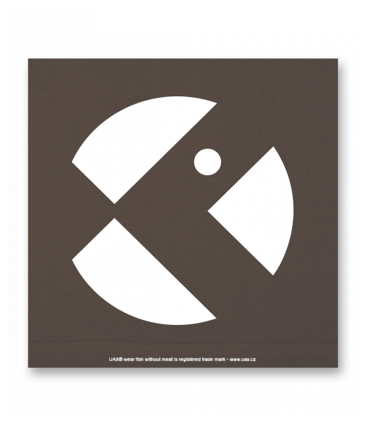 OBRAZ DO INTERIÉRU 110x110cm