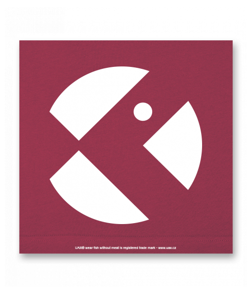 OBRAZ DO INTERIÉRU 110x110cm