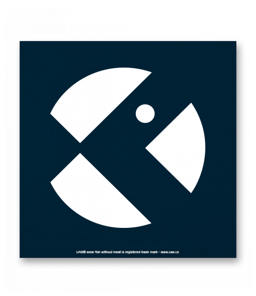 OBRAZ DO INTERIÉRU 110x110cm