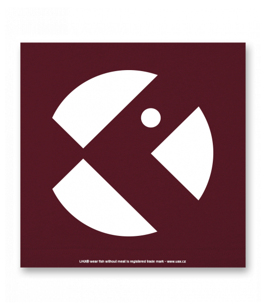 OBRAZ DO INTERIÉRU 110x110cm