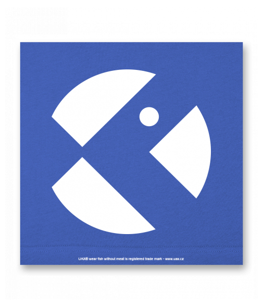 OBRAZ DO INTERIÉRU 110x110cm