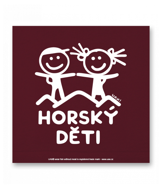 OBRAZ DO INTERIÉRU 110x110cm