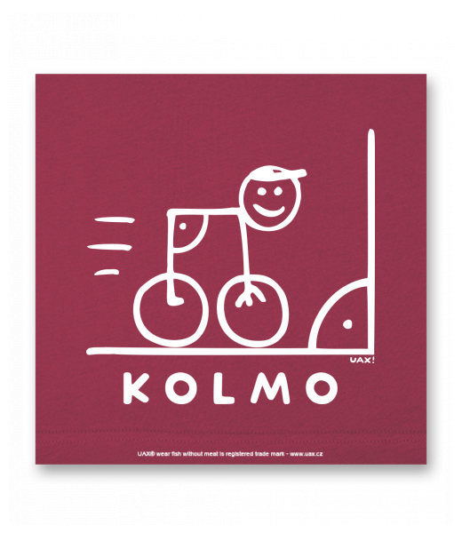 OBRAZ DO INTERIÉRU 110x110cm