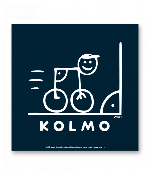 OBRAZ DO INTERIÉRU 110x110cm