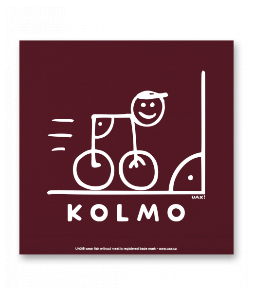 OBRAZ DO INTERIÉRU 110x110cm