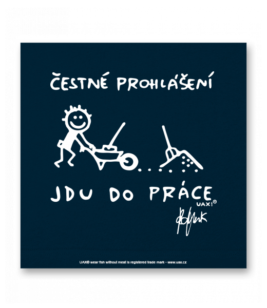 OBRAZ DO INTERIÉRU 110x110cm