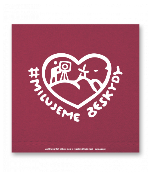 OBRAZ DO INTERIÉRU 110x110cm