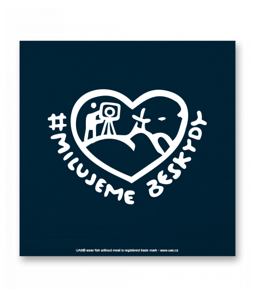 OBRAZ DO INTERIÉRU 110x110cm