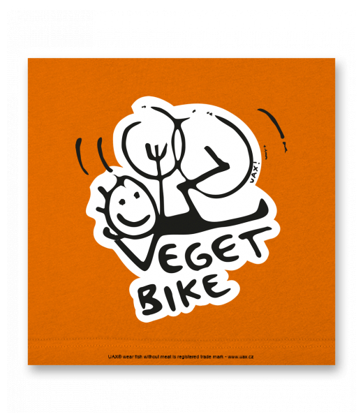 VELKÝ OBRAZ DO INTERIÉRU 140x140cm