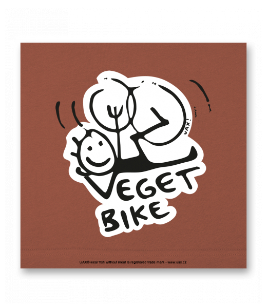 VELKÝ OBRAZ DO INTERIÉRU 140x140cm