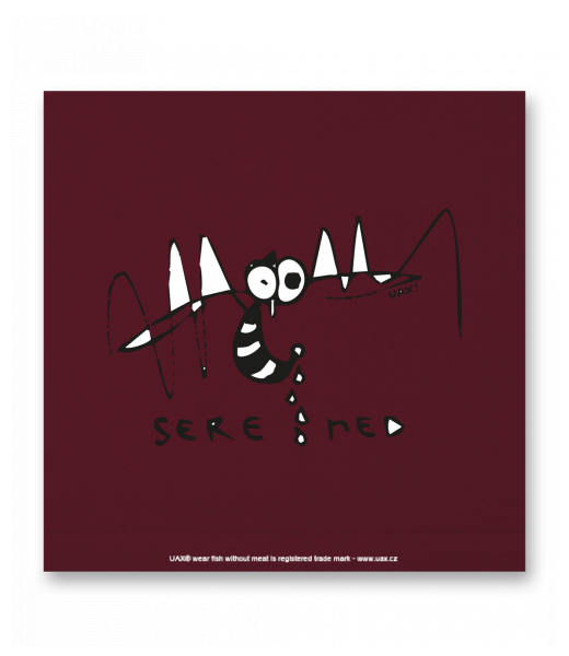 VELKÝ OBRAZ DO INTERIÉRU 140x140cm