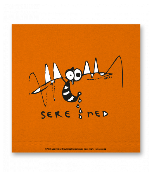 VELKÝ OBRAZ DO INTERIÉRU 140x140cm