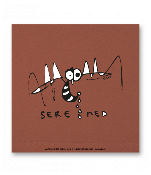 VELKÝ OBRAZ DO INTERIÉRU 140x140cm