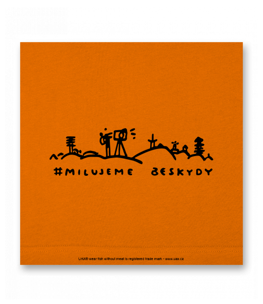 VELKÝ OBRAZ DO INTERIÉRU 140x140cm