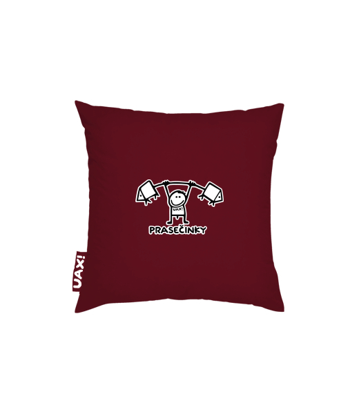 POVLAK NA POLŠTÁŘ 40x40