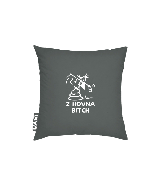 POVLAK NA POLŠTÁŘ 40x40